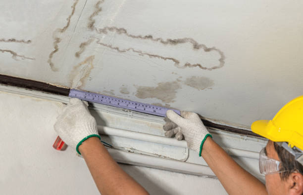 Reliable Mold Remediation contractor in Allenspark, CO by Water Damage Irwin